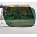 Сонцезахисна дзеркальна накладка-кліпса на окуляри (Polaroid) колір золотистий